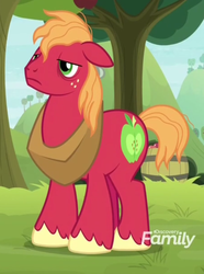 Size: 565x759 | Tagged: safe, screencap, big macintosh, earth pony, pony, g4, going to seed, bags under eyes, cropped, hooves, male, solo, stallion, tired