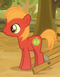 Size: 365x469 | Tagged: safe, screencap, big macintosh, earth pony, pony, g4, going to seed, colt, colt big macintosh, cropped, male, solo, younger