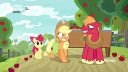 Size: 1600x900 | Tagged: safe, screencap, apple bloom, applejack, big macintosh, earth pony, pony, g4, going to seed, apple, apple siblings, apple sisters, apple tree, brother and sister, discovery family logo, fake smile, female, filly, foal, food, male, mare, siblings, sisters, smiling, stallion, tree, trio