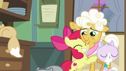 Size: 1920x1080 | Tagged: safe, screencap, apple bloom, goldie delicious, cat, earth pony, pony, g4, going to seed, hug