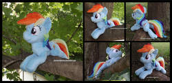 Size: 1278x625 | Tagged: safe, artist:peruserofpieces, rainbow dash, pegasus, pony, g4, beanie (plushie), female, folded wings, from behind, happy, irl, lying down, mare, photo, plushie, profile, smiling, solo, toy, tree, tree branch, wings