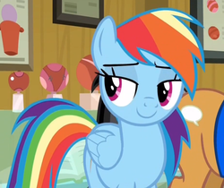 Size: 616x518 | Tagged: safe, screencap, quibble pants, rainbow dash, pegasus, pony, common ground, g4, cropped, female, folded wings, lidded eyes, mare, smiling, solo focus, wings