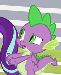Size: 434x538 | Tagged: safe, screencap, spike, starlight glimmer, dragon, a matter of principals, g4, claws, cropped, male, offscreen character, tail, winged spike, wings