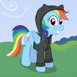 Size: 900x900 | Tagged: safe, artist:m.w., rainbow dash, pegasus, pony, g4, clothes, female, hoodie, looking at you, mare, smiling, solo