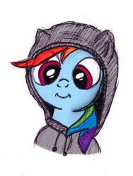Size: 750x1000 | Tagged: safe, artist:m.w., rainbow dash, pegasus, pony, g4, clothes, cute, female, hoodie, mare, simple background, smiling, solo, white background