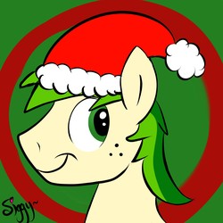 Size: 2239x2240 | Tagged: safe, artist:siggyderp, oc, oc only, oc:rangerpone, earth pony, pony, bust, christmas, hat, high res, holiday, male, profile, santa hat, signature, solo, stallion