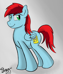 Size: 2636x3075 | Tagged: safe, artist:siggyderp, oc, oc only, pegasus, pony, high res, male, signature, solo, stallion