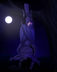 Size: 1190x1500 | Tagged: safe, artist:vavacung, oc, oc only, oc:nocturnal tome, bat pony, pony, bat pony oc, behaving like a bat, hanging, hanging upside down, male, sleeping, solo