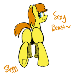 Size: 3750x3750 | Tagged: safe, artist:siggyderp, oc, oc only, oc:siggy, earth pony, pony, butt, high res, looking at you, looking back, looking back at you, male, plot, raised hoof, raised tail, signature, simple background, solo, stallion, tail, tail wrap, text, underhoof, white background