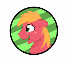 Size: 3121x2731 | Tagged: safe, artist:siggyderp, big macintosh, earth pony, pony, g4, bust, button, button design, facial hair, goatee, high res, male, profile, signature, solo, stallion