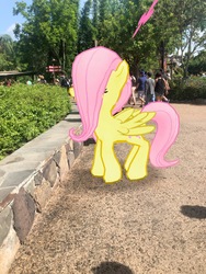Size: 3024x4032 | Tagged: safe, gameloft, photographer:undeadponysoldier, fluttershy, butterfly, human, pegasus, pony, g4, amusement park, animal kingdom, augmented reality, bush, disney world, female, florida, irl, irl human, mare, orlando, photo, ponies in real life, theme park, tree
