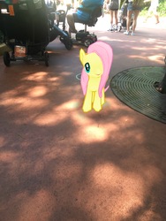 Size: 3024x4032 | Tagged: safe, gameloft, photographer:undeadponysoldier, fluttershy, human, pegasus, pony, g4, amusement park, animal kingdom, augmented reality, disney world, female, florida, irl, irl human, mare, orlando, photo, ponies in real life, theme park