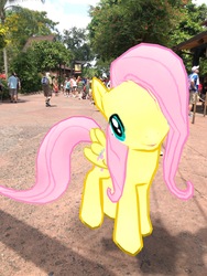 Size: 3024x4032 | Tagged: safe, gameloft, photographer:undeadponysoldier, fluttershy, human, pegasus, pony, g4, amusement park, animal kingdom, augmented reality, disney world, female, florida, irl, irl human, mare, orlando, photo, ponies in real life, theme park, tree