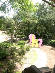 Size: 3024x4032 | Tagged: safe, gameloft, photographer:undeadponysoldier, fluttershy, butterfly, pegasus, pony, g4, animal kingdom, augmented reality, disney world, female, florida, irl, kilimanjaro safaris, looking at you, mare, open mouth, orlando, photo, ponies in real life, pose, safari ride
