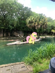 Size: 3024x4032 | Tagged: safe, gameloft, photographer:undeadponysoldier, fluttershy, butterfly, pegasus, pony, g4, animal kingdom, augmented reality, disney world, disney's animal kingdom, female, florida, irl, kilimanjaro safaris, mare, orlando, photo, ponies in real life, pose, safari ride, water