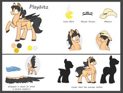 Size: 1280x960 | Tagged: safe, artist:selective-yellow, oc, oc:playbitz, pegasus, pony, large wings, oversized wings, reference sheet, wings
