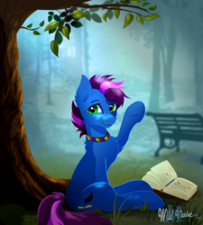 Size: 848x943 | Tagged: safe, artist:wildviolet-m, oc, oc only, oc:shadow writer, earth pony, pony, bench, book, looking at you, male, smiling, solo, tree
