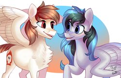 Size: 2048x1321 | Tagged: safe, artist:eeviart, oc, pegasus, pony, duo