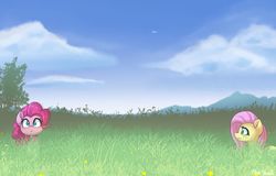 Size: 1280x818 | Tagged: safe, artist:puetsua, fluttershy, pinkie pie, earth pony, pegasus, pony, g4, :<, cloud, duo, female, front view, full face view, grass field, looking at something, mare, outdoors, profile, sky, tall grass