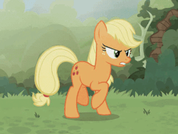 Size: 640x480 | Tagged: safe, artist:brutalweather studio, applejack, discord, rainbow dash, earth pony, pegasus, pony, ponyville's incident, g4, american football, animated, bush, exercise, female, gif, grass, show accurate, sports, stretching, trotting, youtube link