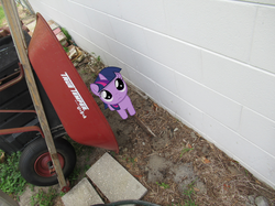 Size: 2047x1535 | Tagged: safe, artist:moonlight bloom, artist:t-dijk, twilight sparkle, pony, unicorn, g4, dutch angle, female, filly, filly twilight sparkle, irl, looking at camera, outdoors, photo, ponies in real life, real life background, story included, wall, wheelbarrow, younger