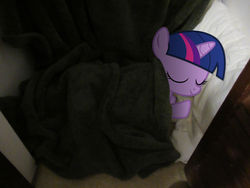 Size: 2048x1536 | Tagged: safe, artist:estories, artist:moonlight bloom, twilight sparkle, pony, unicorn, g4, blanket, closet, female, filly, filly twilight sparkle, irl, photo, pillow, ponies in real life, real life background, sleeping, story included, younger