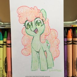 Size: 2048x2048 | Tagged: safe, artist:dawnfire, oc, oc only, earth pony, pony, earth pony oc, high res, solo, traditional art