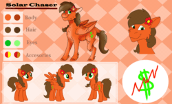 Size: 1500x908 | Tagged: safe, artist:euspuche, oc, oc:solar chaser, pegasus, pony, g4, animated, cute, flower, flower in hair, frame by frame, reference sheet