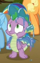 Size: 316x498 | Tagged: safe, screencap, applejack, rainbow dash, spike, dragon, between dark and dawn, g4, claws, cropped, male, offscreen character, wet spike, winged spike, wings