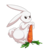 Size: 2339x2497 | Tagged: safe, artist:traupa, angel bunny, rabbit, g4, animal, carrot, food, herbivore, high res, male, raised eyebrow, simple background, solo, transparent background, unamused, vegetables