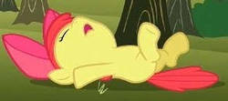 Size: 293x130 | Tagged: safe, screencap, apple bloom, earth pony, pony, g4, my little pony: friendship is magic, the super speedy cider squeezy 6000, adorabloom, applebetes, butt, cropped, cute, fainted, female, filly, on back, passed out, plot, solo