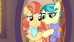 Size: 1920x1080 | Tagged: safe, screencap, aunt holiday, auntie lofty, pony, g4, the last crusade, postcard