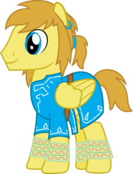 Size: 782x1022 | Tagged: safe, artist:sketchmcreations, pegasus, pony, link, male, ponies of the wild, ponified, show accurate, simple background, solo, stallion, the legend of zelda, the legend of zelda: breath of the wild, transparent background, tunic, vector