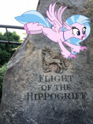 Size: 3024x4032 | Tagged: safe, artist:hendro107, artist:marches45, silverstream, classical hippogriff, hippogriff, g4, female, flight of the hippogriff, florida, harry potter (series), hippogriffs in real life, irl, orlando, photo, ponies in real life, real life background, solo, theme park, universal studios, universal's islands of adventure