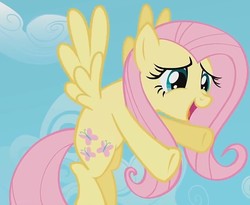 Size: 879x720 | Tagged: safe, screencap, fluttershy, pegasus, pony, g4, may the best pet win, cropped, cute, hug, incoming hug
