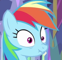 Size: 328x319 | Tagged: safe, screencap, rainbow dash, pony, ail-icorn, g4, spoiler:interseason shorts, cropped, cute, dashie mcboing boing, female, mare, scrunchy face, solo