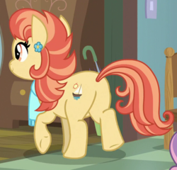 Size: 419x402 | Tagged: safe, screencap, aunt holiday, pony, g4, the last crusade, butt, cropped, female, plot, solo