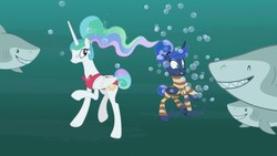 Size: 1920x1080 | Tagged: safe, screencap, princess celestia, princess luna, alicorn, great white shark, pony, shark, between dark and dawn, g4, alternate hairstyle, bare hooves, bikini, bubble, clothes, fangs, female, hair bun, holding breath, hungry, mare, oh dear, oh no, ponytail, red swimsuit, royal sisters, scared, sharp teeth, striped swimsuit, swimming, swimsuit, tail bun, teeth, toothy grin, underwater, wide eyes