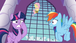 Size: 1280x720 | Tagged: safe, screencap, fancypants, fluttershy, rainbow dash, twilight sparkle, alicorn, pony, swan, between dark and dawn, g4, amused, animated, canterlot, canterlot castle, clothes, flock, laughing, monocle, newspaper, noble, sound, suit, table, twilight sparkle (alicorn), webm