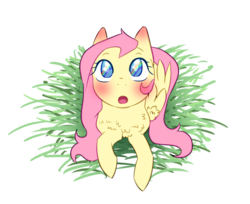 Size: 1222x999 | Tagged: safe, artist:cometsoundfirenote, fluttershy, pegasus, pony, g4, the cutie mark chronicles, amazed, blushing, chest fluff, cute, eye reflection, female, folded wings, front view, full face view, grass, looking up, mare, open mouth, prone, rainbow, reflection, scene interpretation, shyabetes, simple background, solo, transparent background, weapons-grade cute, wings