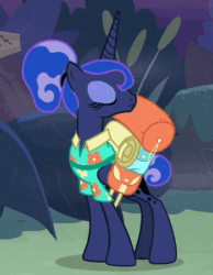Size: 350x450 | Tagged: safe, edit, edited screencap, screencap, princess luna, pony, between dark and dawn, g4, animated, cropped, female, forest, gif, loop, night, reversed, solo