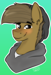 Size: 547x790 | Tagged: safe, artist:almond evergrow, oc, oc only, oc:almond evergrow, earth pony, pony, blushing, clothes, hoodie, profile picture, smiling, smirk, solo