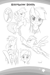 Size: 2107x3160 | Tagged: safe, seven seas, rainbow dash, pegasus, pony, g4, my little pony: the manga, my little pony: the manga volume 1, cute, cutie mark, dashabetes, element of loyalty, flying, high res, lineart, looking at you, monochrome, sketch gallery, squee, underhoof