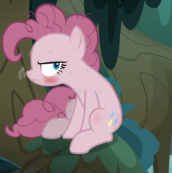 Size: 1120x1124 | Tagged: safe, edit, edited screencap, screencap, mean pinkie pie, pony, g4, the mean 6, blushing, clone, cropped, female, solo, sweat