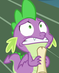 Size: 583x720 | Tagged: safe, screencap, spike, dragon, between dark and dawn, g4, claws, cropped, fangs, male, nervous, reaction image, scroll, solo, tail, winged spike, wings