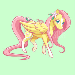 Size: 787x787 | Tagged: safe, artist:geminineart, part of a set, fluttershy, pegasus, pony, g4, alternate design, blaze (coat marking), coat markings, cute, facial markings, female, flower, flower in hair, fluttershy (g5 concept leak), folded wings, g5 concept leak style, g5 concept leaks, green background, looking at you, mare, raised leg, shyabetes, simple background, smiling, socks (coat markings), solo, standing, three quarter view, watermark, wings