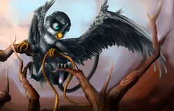 Size: 1024x650 | Tagged: safe, artist:feng-shui1301, gabby, griffon, g4, branches, female, rope, solo