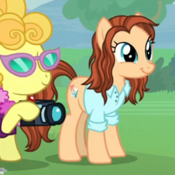 Size: 339x337 | Tagged: safe, screencap, lemon chiffon, earth pony, pony, between dark and dawn, g4, background pony, button-up shirt, camera, cropped, female, glasses, mare, nicole dubuc, unnamed character, unnamed pony