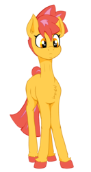 Size: 2462x4620 | Tagged: safe, artist:paskanaakka, part of a set, oc, oc only, oc:ciaran, earth pony, pony, chest fluff, colored hooves, commission, confused, digital art, female, frown, mare, simple background, solo, standing, transparent background