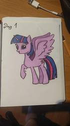 Size: 668x1197 | Tagged: safe, artist:darkwolfiesk, twilight sparkle, alicorn, pony, g4, female, solo, traditional art, twilight sparkle (alicorn)